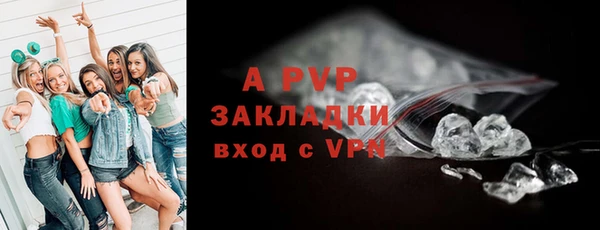 дживик Гусев