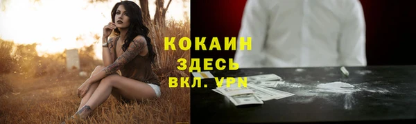 соль ск Гусь-Хрустальный
