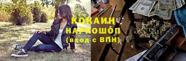 дживик Гусев
