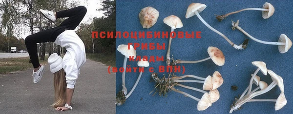 марки lsd Гусиноозёрск