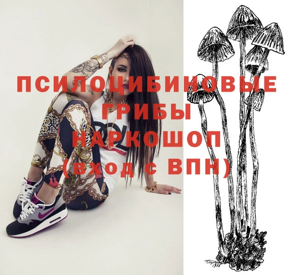 соль ск Гусь-Хрустальный