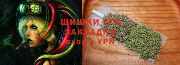соль ск Гусь-Хрустальный