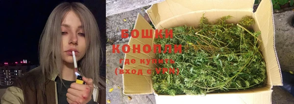 дживик Гусев