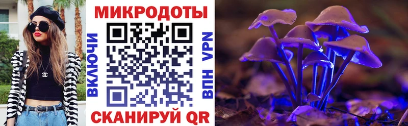 даркнет сайт  MEGA ссылка  Псилоцибиновые грибы GOLDEN TEACHER  Калининец 